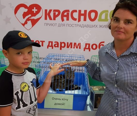 Герань